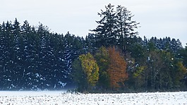 阿爾高,秋季,雪