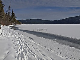 冬天,风景,树