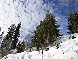 冬天,雪,季节