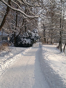 離,公園,雪