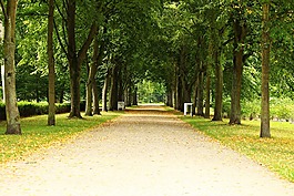 大道,公園,布施帕希姆