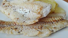 食物,魚,飲食