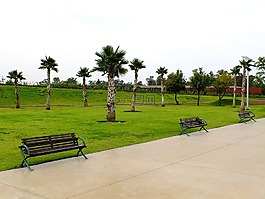 公園,地球,春