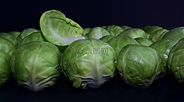 布魯塞爾豆芽,綠色,關(guān)于