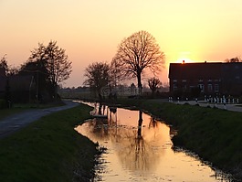 水,首頁,景觀