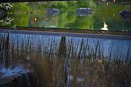 幾點思考,水,公園