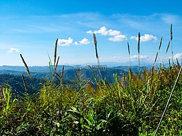景觀,山,泰國北部