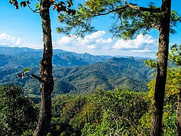 景觀,山,泰國北部