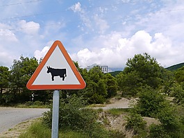 西班牙,跡象,公牛