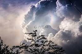 天空,云,樹