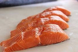 三文魚(yú),法院,魚(yú)