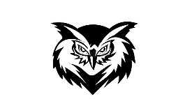 鳥,貓頭鷹,動物