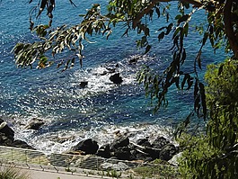 瓦拉澤,薩沃納,海