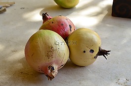 石榴,水果,性質(zhì)
