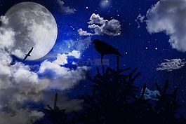 天空,藍(lán)色,云