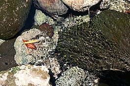 水,石頭,lichtspiel