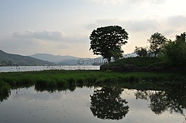 河邊,江,鯽魚鯉魚釣魚