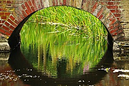 橋,水,拱