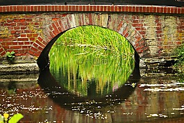 橋,水,拱