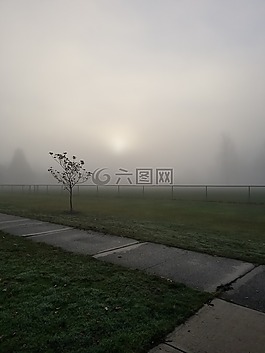 霧,自然,日出