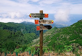 自然,山,馬德拉