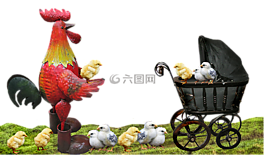 公雞,雞,父親