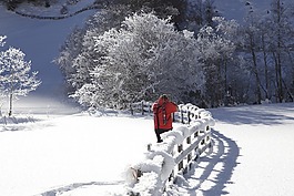 寒冬,雪景,valsertal