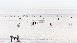 海邊,夏天,海岸