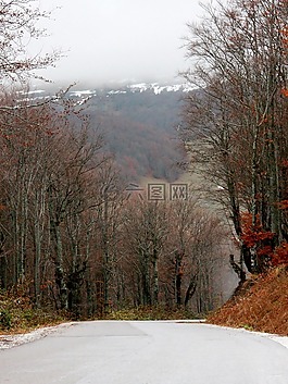霧,山,秋