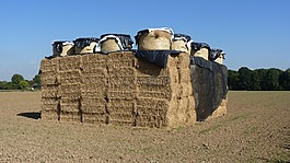 農(nóng)業(yè),秸稈,稻草包