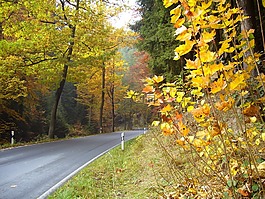 路,交通,kirnitzschtal