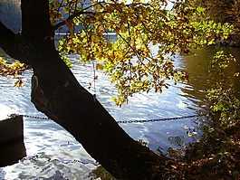 坝,kriebstein,秋季