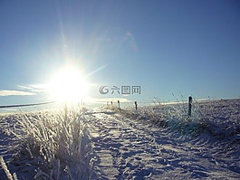 冬天,太阳,背光