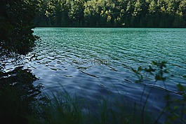湖,水,綠色
