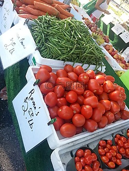 蕃茄,綠色市場,新鮮