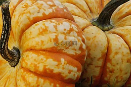 南瓜,冬瓜,秋季