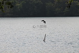 湖,飛行,船航行