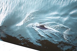 海,海洋,水