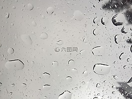 雨,玻璃,树