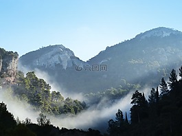 霧,山,樹