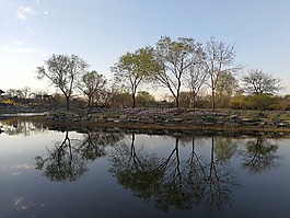 春天,湖面,倒影