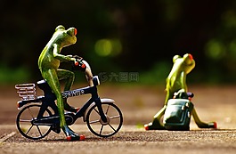 青蛙,告別,自行車