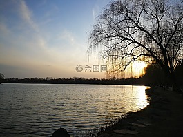 湖面,夕陽,楊柳