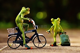 青蛙,告別,自行車