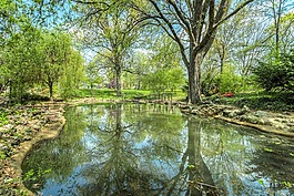 公園,池,反思