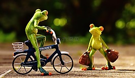 青蛙,到達,自行車