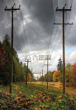 电源线,电气,啦