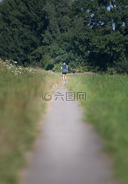 目睹,運行,原野