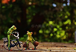 青蛙,到達(dá),自行車