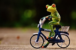 青蛙,自行車,滑稽